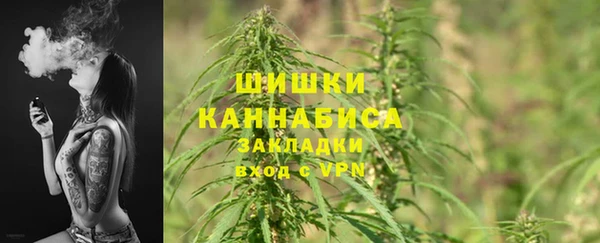 ГАЛЛЮЦИНОГЕННЫЕ ГРИБЫ Абаза