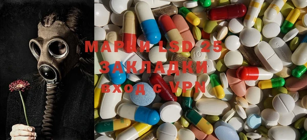 ГАЛЛЮЦИНОГЕННЫЕ ГРИБЫ Абаза