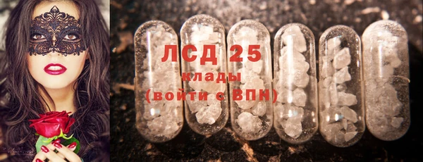 ГАЛЛЮЦИНОГЕННЫЕ ГРИБЫ Абаза