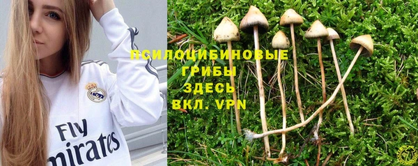 прущая мука Абинск